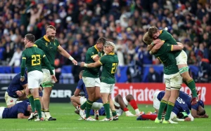 საფრანგეთი 28:29 სამხრეთ აფრიკა (მიმოხილვა)